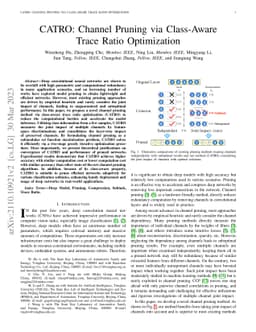 CATRO: Channel Pruning via Class-Aware Trace Ratio Optimization