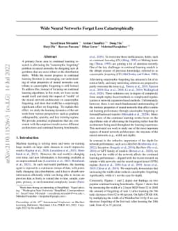 Wide Neural Networks Forget Less Catastrophically
