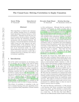 The Causal Loss: Driving Correlation to Imply Causation