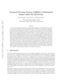 Automated Scoring System of HER2 in Pathological Images under the
  Microscope