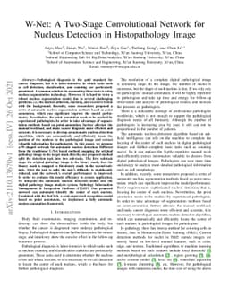 W-Net: A Two-Stage Convolutional Network for Nucleus Detection in
  Histopathology Image