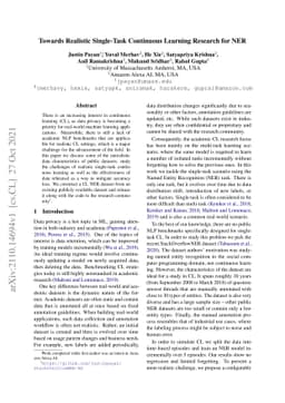Towards Realistic Single-Task Continuous Learning Research for NER