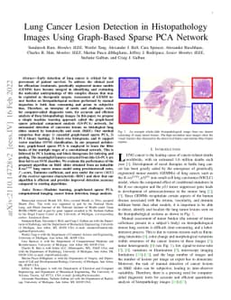 Lung Cancer Lesion Detection in Histopathology Images Using Graph-Based
  Sparse PCA Network