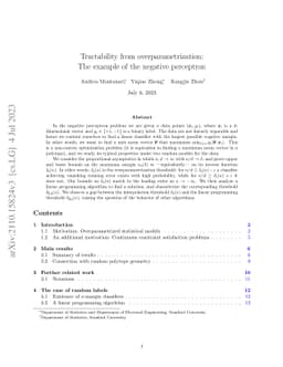 Tractability from overparametrization: The example of the negative
  perceptron