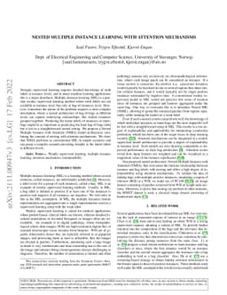 Nested Multiple Instance Learning with Attention Mechanisms