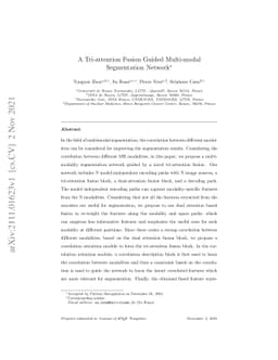 A Tri-attention Fusion Guided Multi-modal Segmentation Network