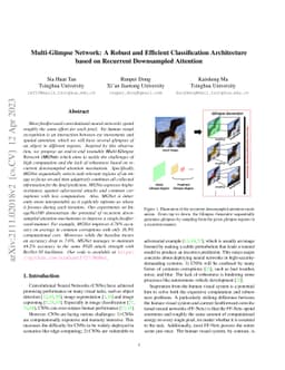 Multi-Glimpse Network: A Robust and Efficient Classification
  Architecture based on Recurrent Downsampled Attention