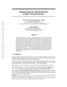 Regularization by Misclassification in ReLU Neural Networks