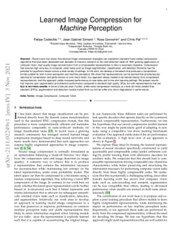 Learned Image Compression for Machine Perception