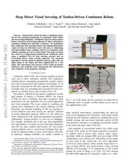 Deep Direct Visual Servoing of Tendon-Driven Continuum Robots