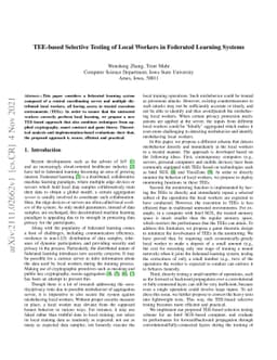 TEE-based Selective Testing of Local Workers in Federated Learning
  Systems