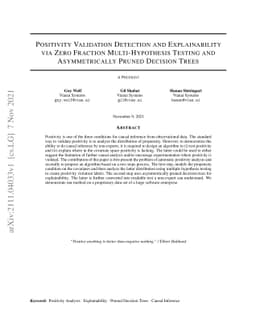 Positivity Validation Detection and Explainability via Zero Fraction
  Multi-Hypothesis Testing and Asymmetrically Pruned Decision Trees