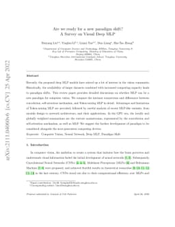Are we ready for a new paradigm shift? A Survey on Visual Deep MLP
