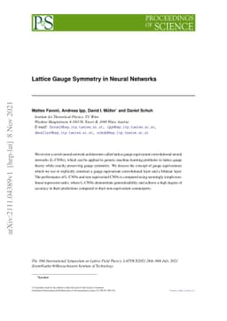Lattice gauge symmetry in neural networks