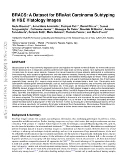 BRACS: A Dataset for BReAst Carcinoma Subtyping in H&E Histology Images