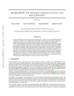 Hybrid BYOL-ViT: Efficient approach to deal with small datasets