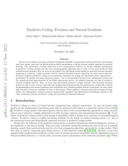 Predictive coding, precision and natural gradients