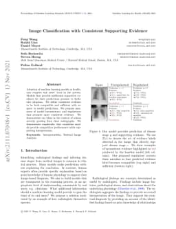 Image Classification with Consistent Supporting Evidence