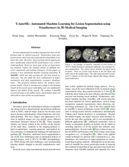 T-AutoML: Automated Machine Learning for Lesion Segmentation using
  Transformers in 3D Medical Imaging