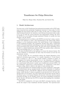 Transformer for Polyp Detection