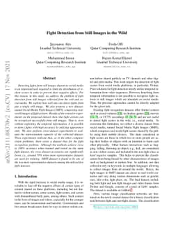 Fight Detection from Still Images in the Wild