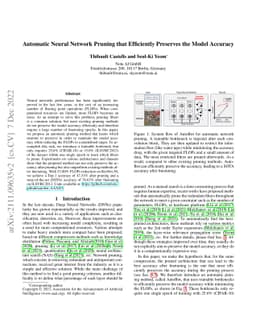Automatic Neural Network Pruning that Efficiently Preserves the Model
  Accuracy