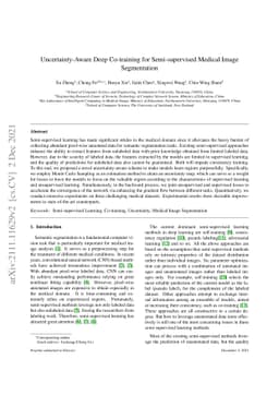 Uncertainty-Aware Deep Co-training for Semi-supervised Medical Image
  Segmentation