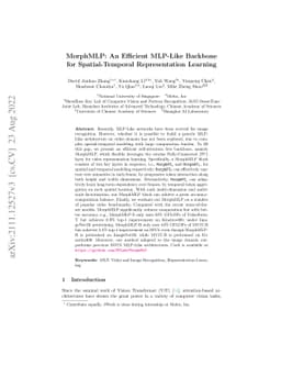 MorphMLP: An Efficient MLP-Like Backbone for Spatial-Temporal
  Representation Learning