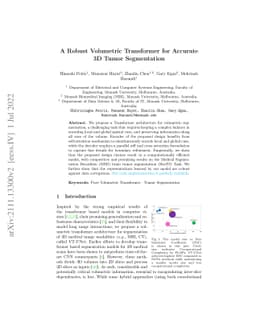A Robust Volumetric Transformer for Accurate 3D Tumor Segmentation