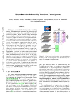 Morph Detection Enhanced by Structured Group Sparsity