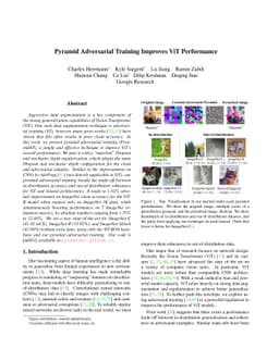 Pyramid Adversarial Training Improves ViT Performance