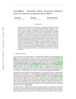 AutoDrop: Training Deep Learning Models with Automatic Learning Rate
  Drop
