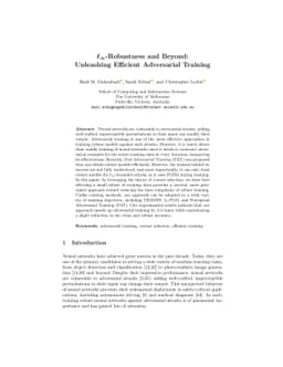 $\ell_\infty$-Robustness and Beyond: Unleashing Efficient Adversarial
  Training