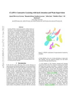 CLAWS: Contrastive Learning with hard Attention and Weak Supervision