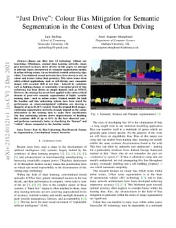 "Just Drive": Colour Bias Mitigation for Semantic Segmentation in the
  Context of Urban Driving