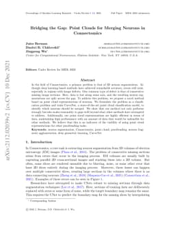 Bridging the Gap: Point Clouds for Merging Neurons in Connectomics