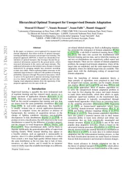 Hierarchical Optimal Transport for Unsupervised Domain Adaptation
