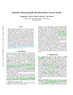 Equal Bits: Enforcing Equally Distributed Binary Network Weights