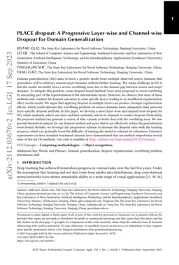 PLACE dropout: A Progressive Layer-wise and Channel-wise Dropout for
  Domain Generalization