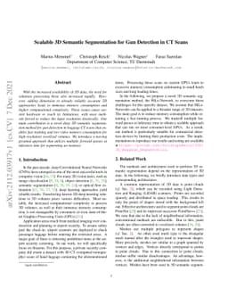 Scalable 3D Semantic Segmentation for Gun Detection in CT Scans