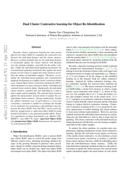 Dual Cluster Contrastive learning for Object Re-Identification