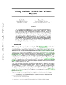 Pruning Pretrained Encoders with a Multitask Objective