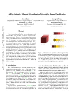 A Discriminative Channel Diversification Network for Image
  Classification