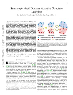 Semi-supervised Domain Adaptive Structure Learning