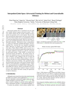 Interpolated Joint Space Adversarial Training for Robust and
  Generalizable Defenses
