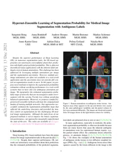 Hypernet-Ensemble Learning of Segmentation Probability for Medical Image
  Segmentation with Ambiguous Labels