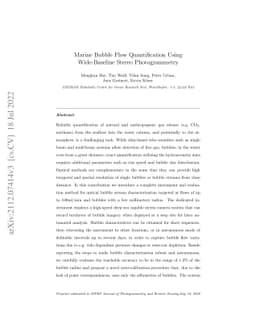 Marine Bubble Flow Quantification Using Wide-Baseline Stereo
  Photogrammetry
