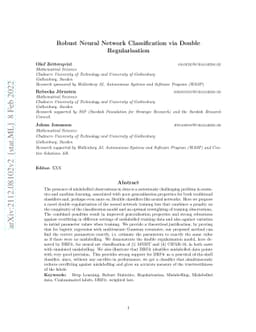 Robust Neural Network Classification via Double Regularization