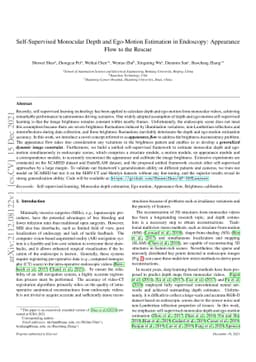 Self-Supervised Monocular Depth and Ego-Motion Estimation in Endoscopy:
  Appearance Flow to the Rescue