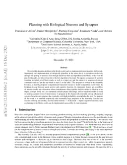Planning with Biological Neurons and Synapses